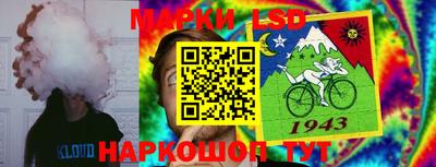 амф Аргун