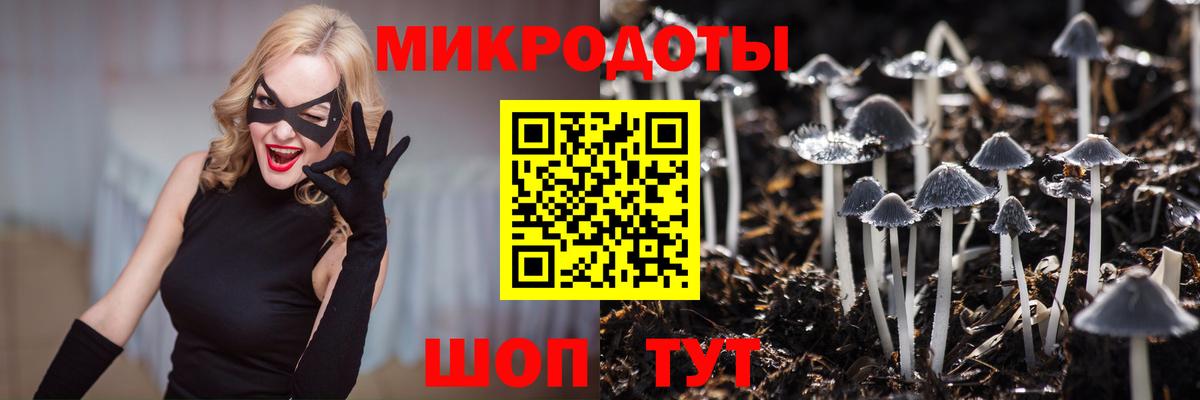 Галлюциногенные грибы GOLDEN TEACHER  Вход с VPN  Белебей 
